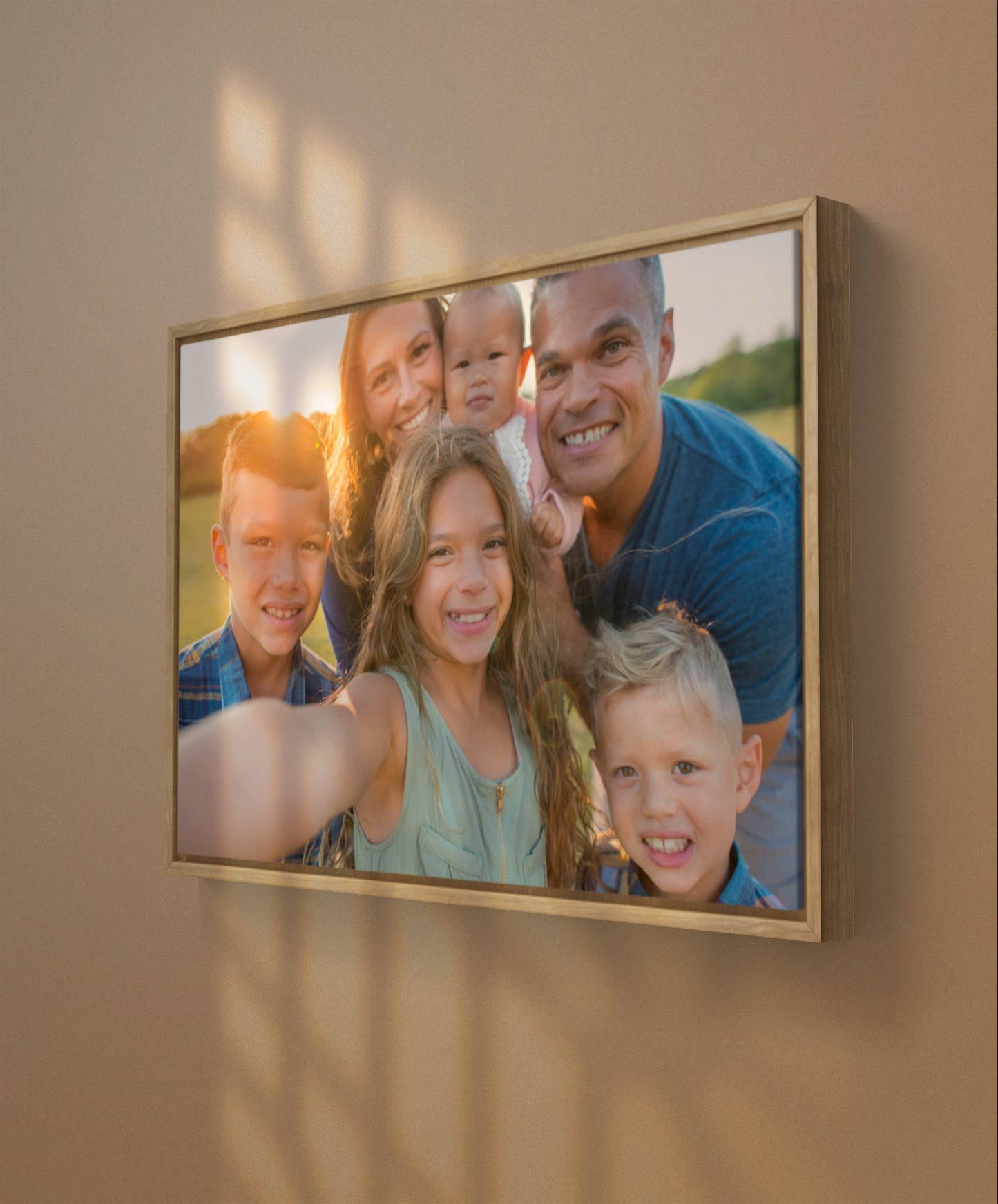 Framed Canvas